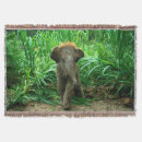 Search for elephant photo blankets Elephants