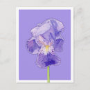 Search for purple iris postcards Flowers