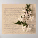Search for jasmin art Plant