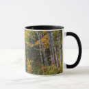 Search for gravel road mugs Country