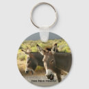 Search for donkeys key rings Nature