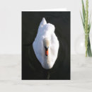 Search for simplicity cards Elegant