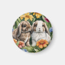 Search for lop magnets Bunny
