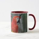 Search for pretty bird mugs Photography
