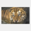 Search for bengal tiger stickers Jungle