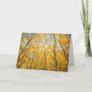 Search for aspen trees cards Woods