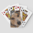Search for western playing cards Ranch