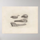 Search for british columbia posters Illustration