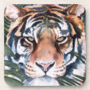 Search for cat coasters Tiger