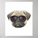 Search for dogs wearing glasses posters Puppy