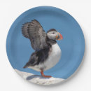 Search for puffin plates Animal