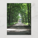 Search for forrests postcards Wood