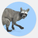 Search for open eye stickers Funny
