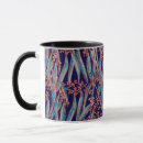 Search for gum leaf mugs Greenery