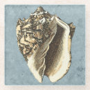 Search for conch coasters Coastal