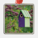 Search for attraction christmas tree decorations Green