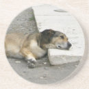 Search for lazy barware Dog