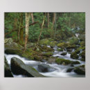 Search for cascading posters Nature