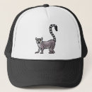Search for lemur accessories Wild animal