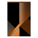 Search for silenced posters Abstract