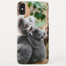 Search for koala bear iphone cases Animal lover