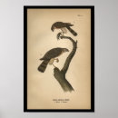 Search for shinned art Vintage