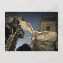 Search for tyto postcards Flying