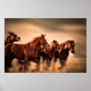 Search for mane posters Animal