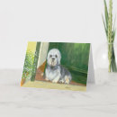 Search for dandy cards Dog
