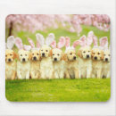 Search for easter bunny mousepads Cute animal