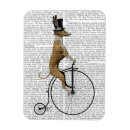 Search for greyhound magnets Bicycle