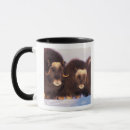Search for arctic wolf mugs Wildlife