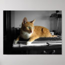 Search for keyboards posters Humour