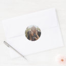 Search for couple picture stickers Create your own
