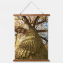 Search for tree tapestries Oak