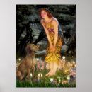 Search for vizsla posters Pets