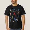 Search for robin bird tshirts Funny