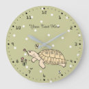 Search for tortoise clocks Turtle