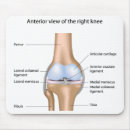 Search for knee mousepads Surgery