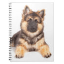 Search for collie notebooks Cute