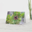 Search for christmas tree note cards Nature