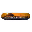 Search for beaching it skateboards City