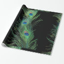 Search for peacock feathers wrapping paper Bird