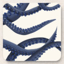 Search for octopus coasters Sealife