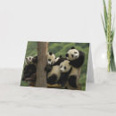 Search for giant sympathy cards Animal