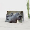 Search for primate cards Wildlife