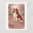 Search for cavalier king charles Drawing