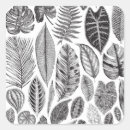 Search for palm leaves stickers Black
