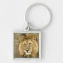 Search for masai mara key rings Panthera leo