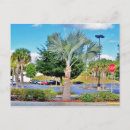 Search for tampa postcards Photography